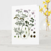 Koriander Karte (Gelbe Blume)