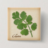 Korianderkraut Button (Vorderseite)