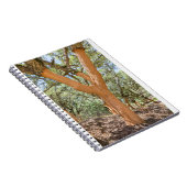 Korkbäume in der portugiesischen Algarve.JPG Notizblock (Rechte Seite)