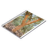 Korkbäume in der portugiesischen Algarve.JPG Notizblock (Linke Seite)