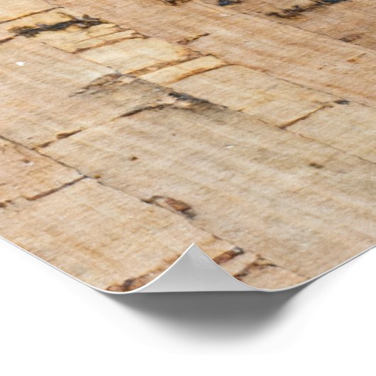 Korkeiche Poster (Ecke)