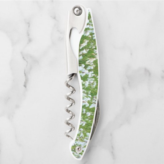 Korkenzieher (Vorderseite)