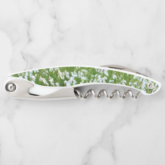 Korkenzieher (Vorderseite)