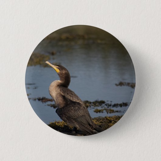 Kormoran Button (Vorderseite)