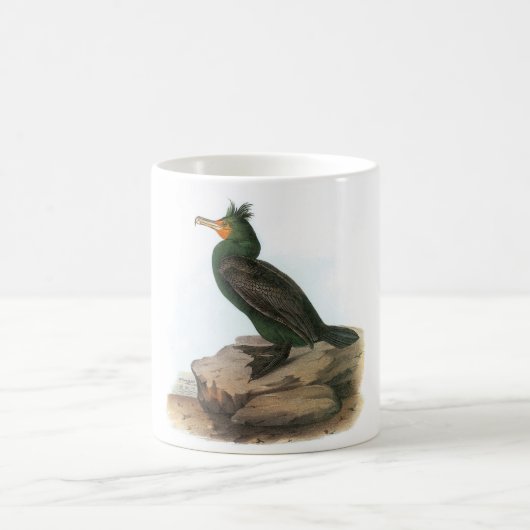 Kormoran Doppelt-mit Haube durch Audubon Kaffeetasse (Mittel)