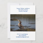 Kormoran Einladung (Rückseite)