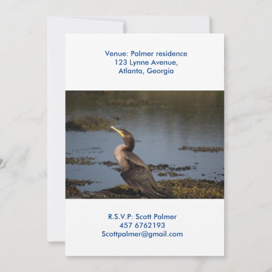 Kormoran Einladung (Rückseite)