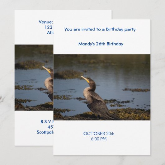 Kormoran Einladung (Vorne/Hinten)