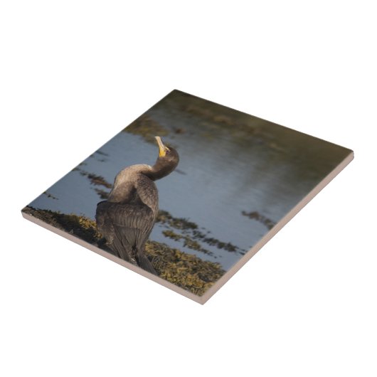 Kormoran Fliese (Seite)