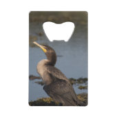 Kormoran Geldbeutel Flaschenöffner (Vorderseite)