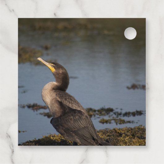 Kormoran Geschenkanhänger (Rückseite)