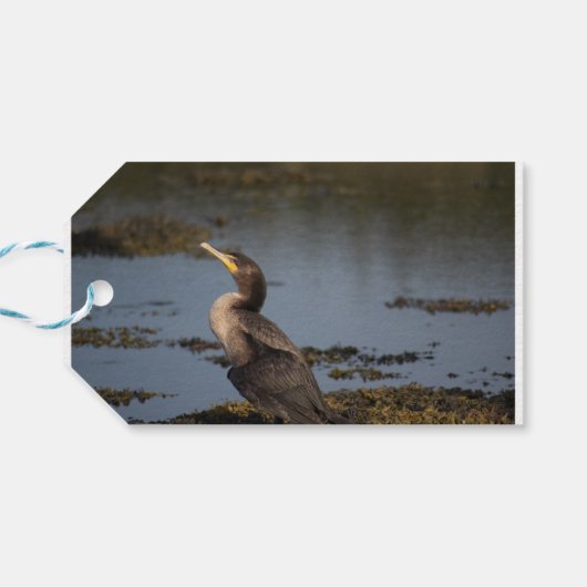 Kormoran Geschenkanhänger (Rückseite Horizontal)