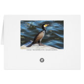 Kormoran in Cardiff Bay, Cardiff, Wales (Rückseite Horizontal)