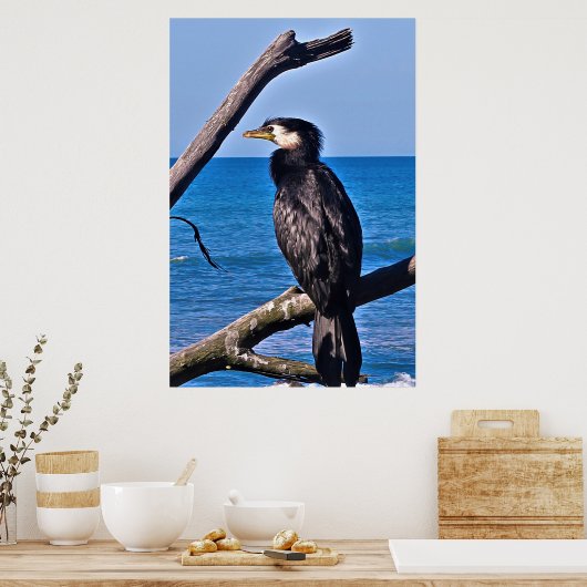 Kormoran in New Plymouth Poster (Küche)