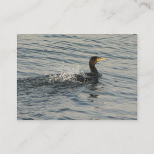 Kormoran lernt schwimmen visitenkarte