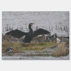 Kormoran Magnet