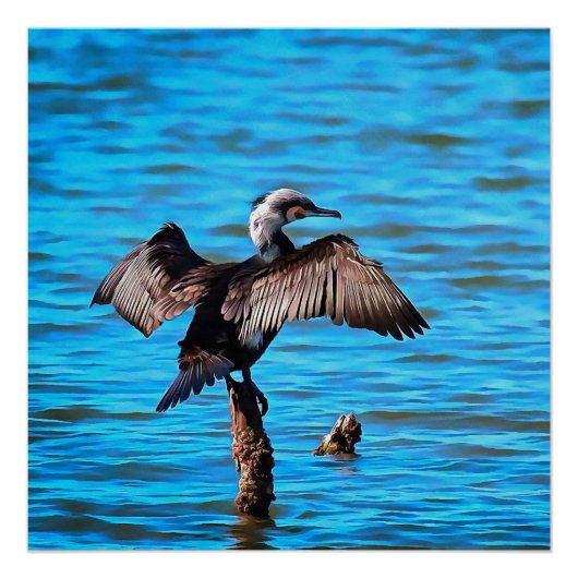 Kormoran mit ausgeprägten Winkeln an blauer Wasser Poster (Vorderseite)