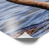 Kormoran mit Fisch Fotodruck (Ecke)