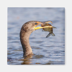 Kormoran mit Fisch Magnet
