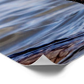 Kormoran mit Fisch Poster (Ecke)