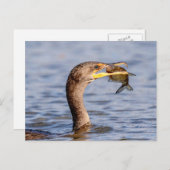 Kormoran mit Fisch Postkarte (Vorne/Hinten)
