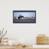 Kormoran mit Möwen Poster (Küche)