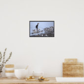 Kormoran mit Möwen Poster (Küche)