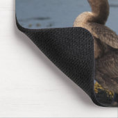 Kormoran Mousepad (Ecke)