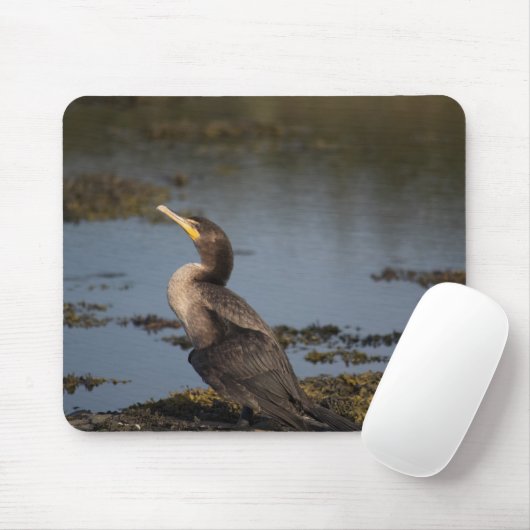 Kormoran Mousepad (Mit Mouse)