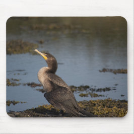 Kormoran Mousepad