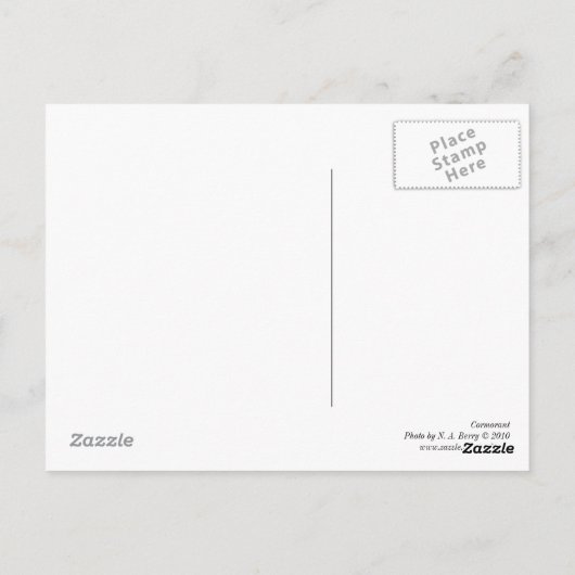 Kormoran Postkarte (Rückseite)