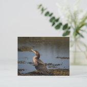 Kormoran Postkarte (Stehend Vorderseite)