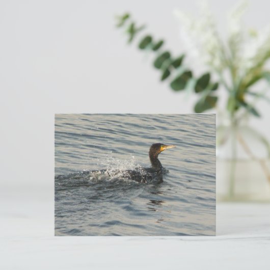 Kormoran Postkarte (Stehend Vorderseite)