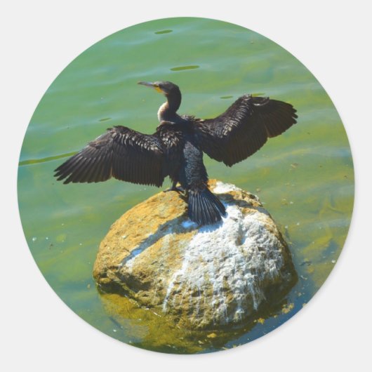 Kormoran Runder Aufkleber (Vorderseite)