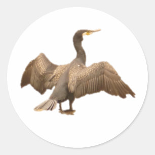 Kormoran Runder Aufkleber