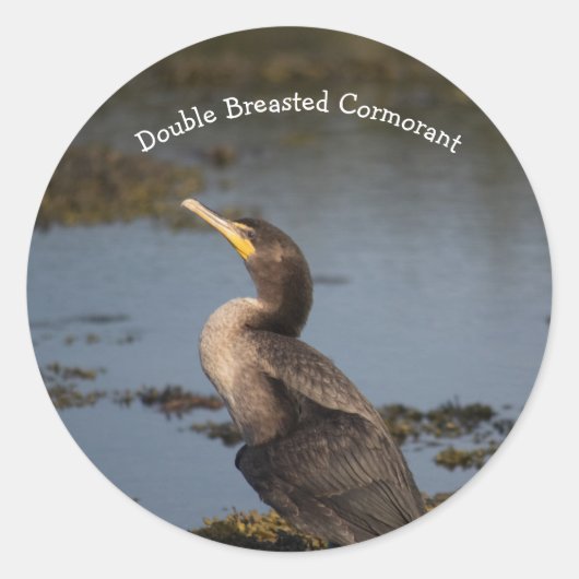 Kormoran Runder Aufkleber (Vorderseite)