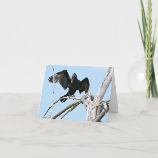 Kormoran unter Verwendung der Flügel zum zu Karte (Vorderseite)