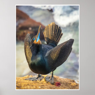 Kormoran-Wandkunst   Küsten-Vogel-Druck Poster