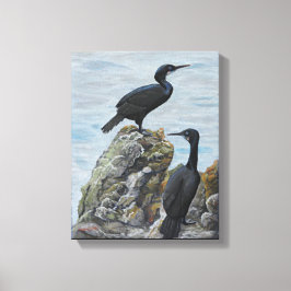 Kormorane auf Rocks Print auf Leinwand