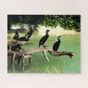 Kormorane Puzzle