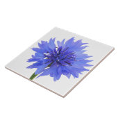 Kornblume Fliese (Seite)