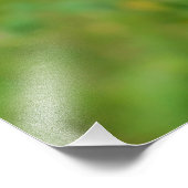 Kornblume Fotodruck (Ecke)