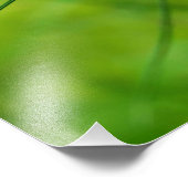 Kornblume Fotodruck (Ecke)