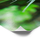 Kornblume Fotodruck (Ecke)