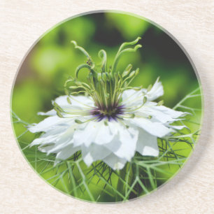 Kornblume Getränkeuntersetzer