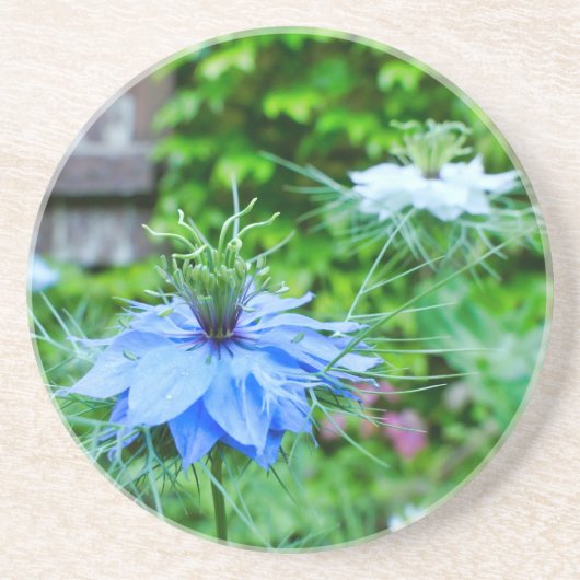 Kornblume Getränkeuntersetzer (Vorne)