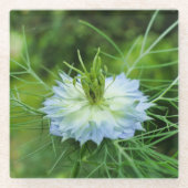 Kornblume Glasuntersetzer (Vorderseite)