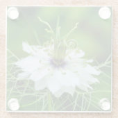 Kornblume Glasuntersetzer (Rückseite)