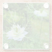 Kornblume Glasuntersetzer (Rückseite)