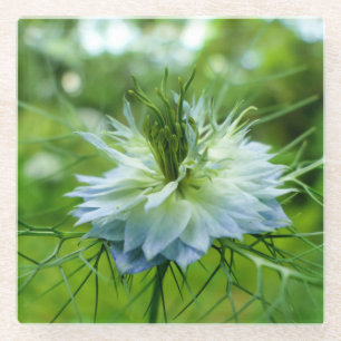 Kornblume Glasuntersetzer